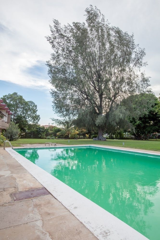 New Kingston Guest Apartments At Seymour Bagian luar foto