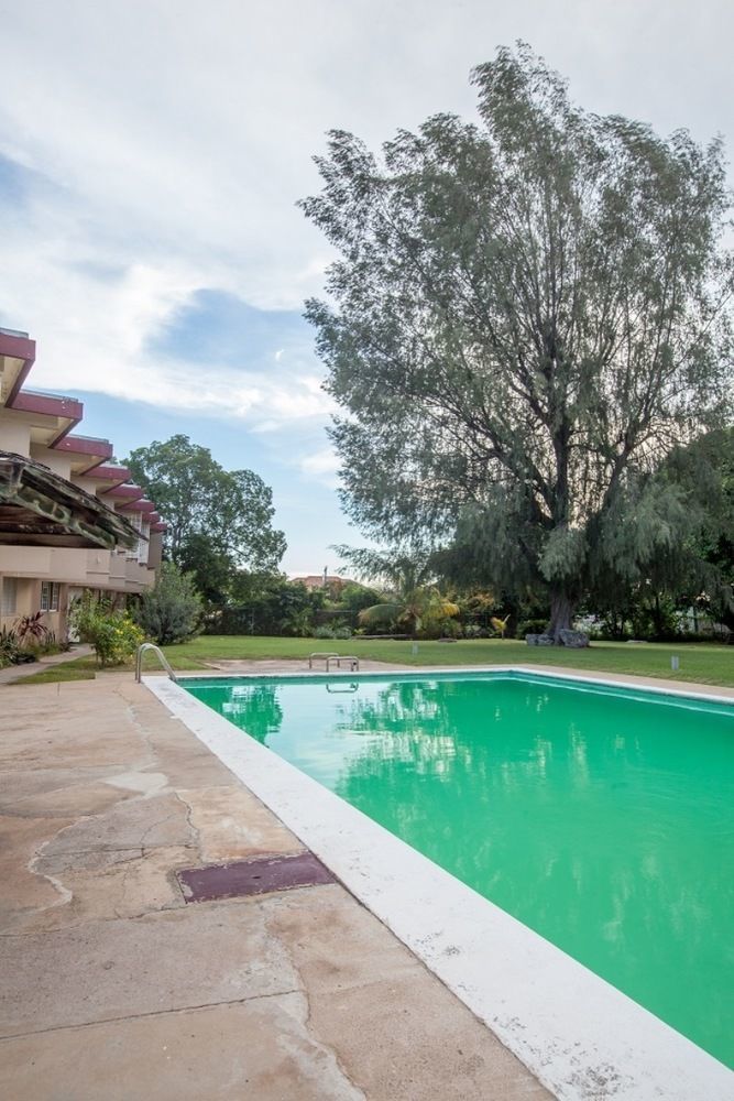 New Kingston Guest Apartments At Seymour Bagian luar foto